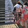 【社会】日本成人仪式：恭喜新晋的20岁成年人们进入人生的新阶段