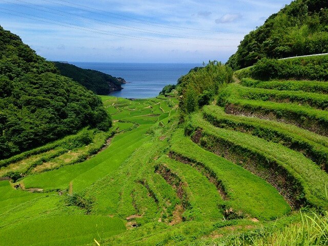 魅力佐贺 夏天可以吹着海风眺望绿色的稻田