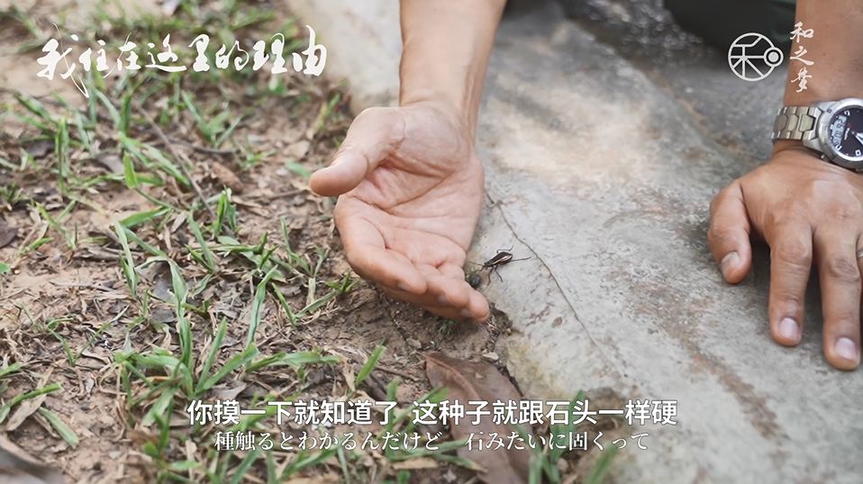 日本学术会议研讨会:ICT改变体育运动