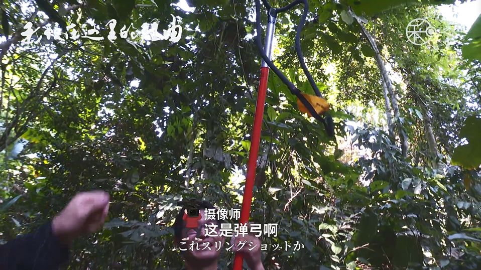 日本学术会议研讨会:ICT改变体育运动