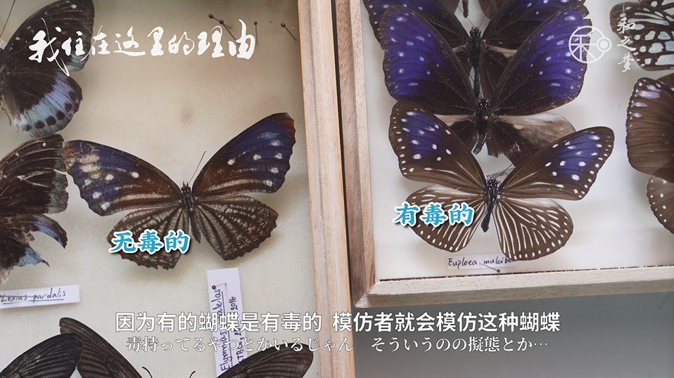 日本学术会议研讨会:ICT改变体育运动