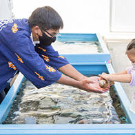 拥抱大自然的年轻人：热爱生物和家乡，日本唯一的高中水族馆社团