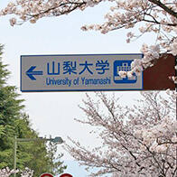 【日本的大学】（九十八）山梨大学：尊重个人尊严，接受多元化价值观