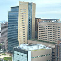 第二批“国际卓越大学”遴选结果——东京科学大学内定，京都大学1年后，东京大学继续审核