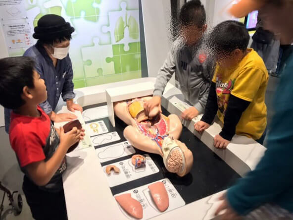 IQ正常的“发展障碍”(下):学龄阶段的援助