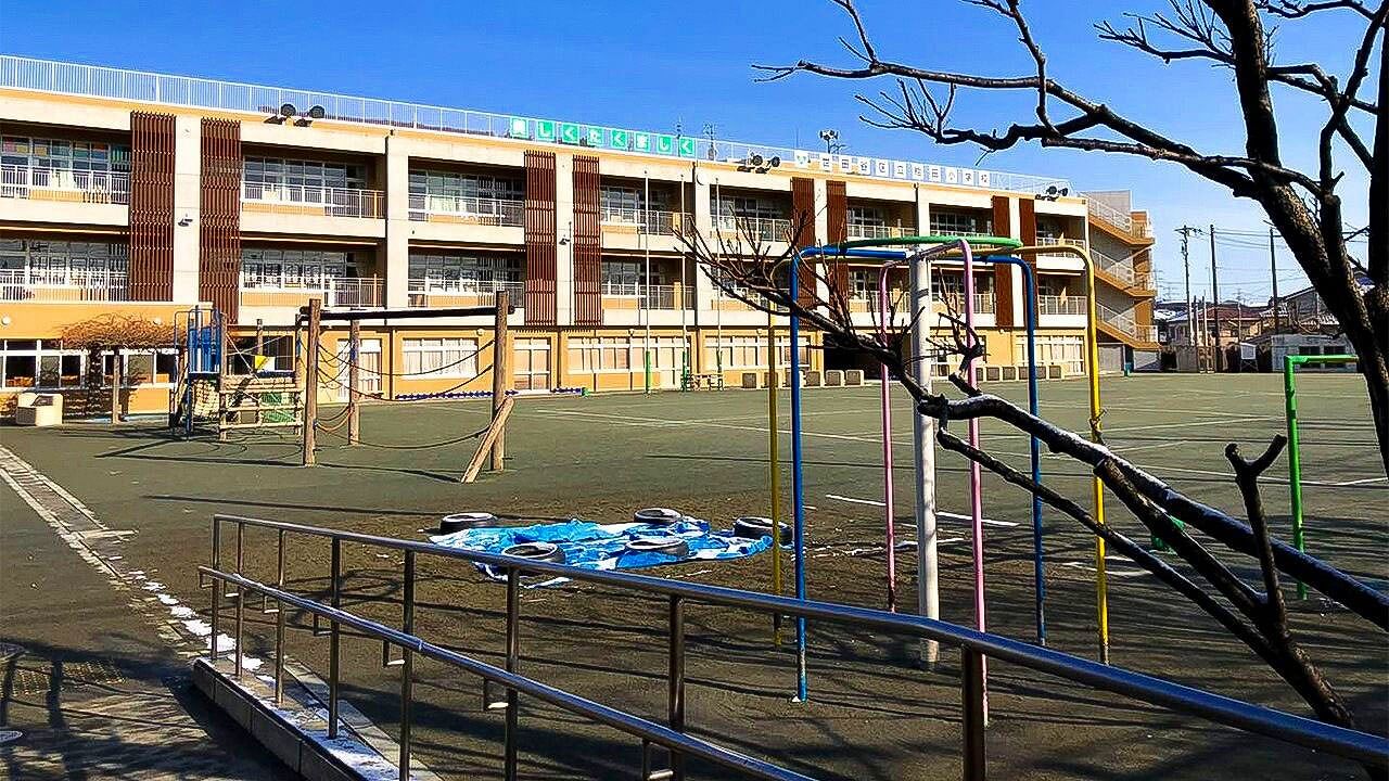 东京有学区房吗？——日本的小学教育是怎样的？