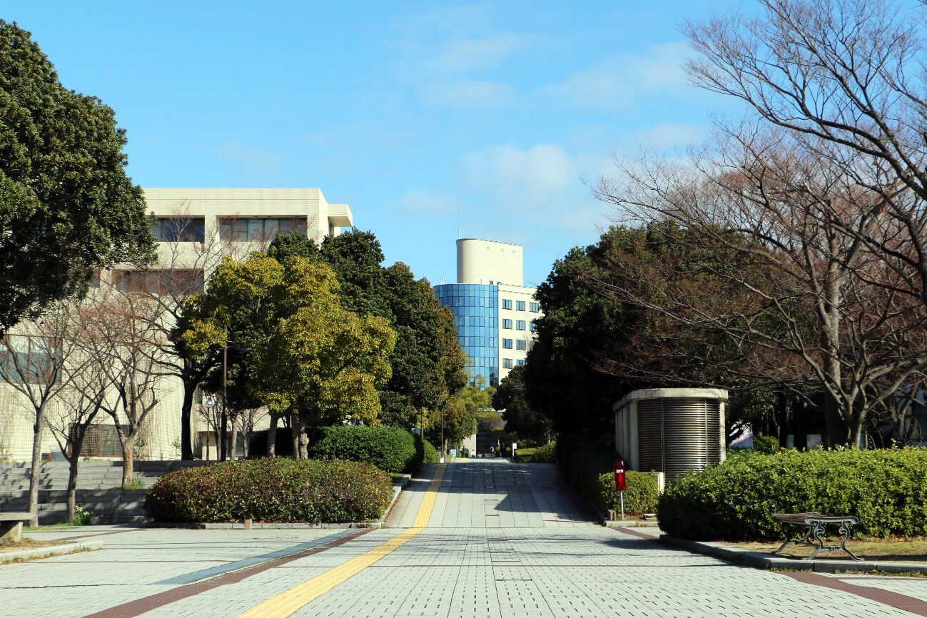 日本的数据科学教育政策与和歌山大学的数据智能教育研究部门