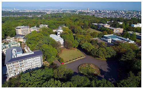 博雅教育的强力指南书——国际基督教大学出版实践成果