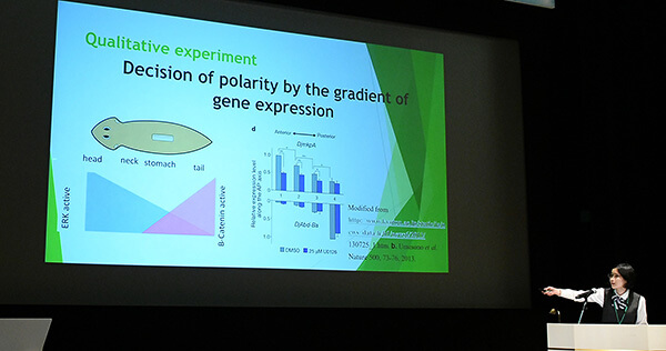 培养科学好苗子，日本大学指导高中生进行科学研究