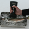 开发鲜鱼脂肪含量检测仪