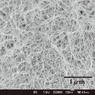 特辑1——尖端材料纤维素纳米纤维的可能性