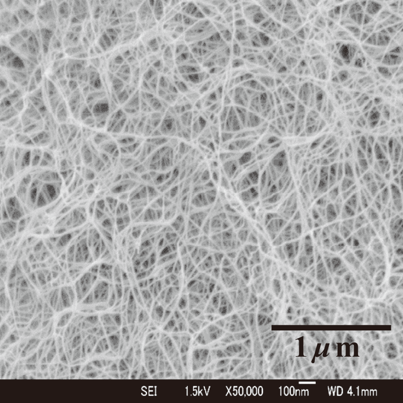 图1 木材细胞壁中的纤维素纳米纤维