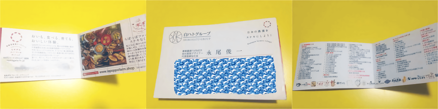 白鸽集团的新农业,红薯农场公园造就 闪亮农业女生