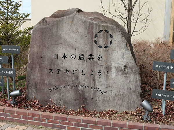 白鸽集团的新农业,红薯农场公园造就 闪亮农业女生