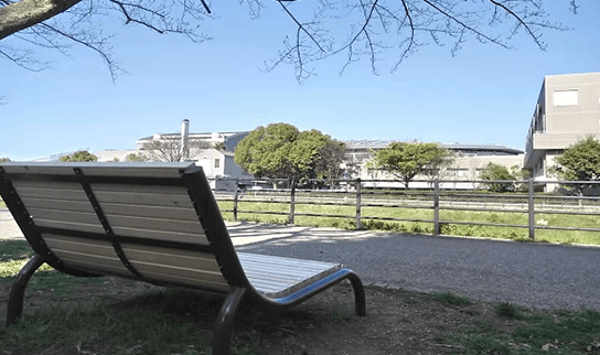 日本首家“睡眠咖啡厅”开张,为您随时补眠