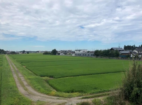 一汁山菜 招人气，山川河流海洋田野环绕的小旅馆