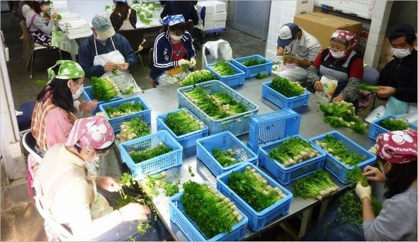农福,日本通过农业为残障人士提供新福利