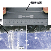 理研开发出可在各种环境中自我修复的新型功能性聚合物