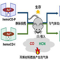 同志社大学等开发出同时解毒一氧化碳和氰化氢的化合物，小鼠存活率达85%