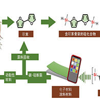 群马大学开发出以食品废弃物为原料的可回收有机硅高分子
