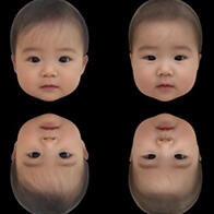 大阪大学：婴儿的“可爱程度”由各个部位决定