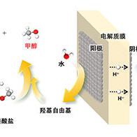 名古屋大学成功从木质素化合物中提取出甲醇和氢，期待在温和条件下的电解为CO₂减排做出贡献