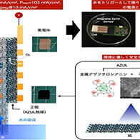 日本东北大学材料科学高等研究所利用镁和纸张成功开发出了低环境负荷的新型电池，有望应用于可穿戴器件
