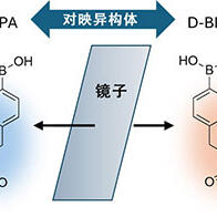 东京大学等发现对映异构体中添加液体胶成分进行放射治疗，小鼠的癌症基本消失