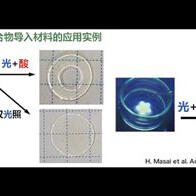 东京大学开发出兼具光稳定性与光分解性的高分子材料