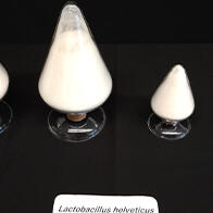 江崎格力高：自主研发的乳酸菌株可抑制感冒自觉症状