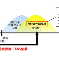 九州大学开发出预测癌症免疫疗法副作用的技术，有助于精准治疗