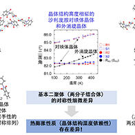 早稻田大学等揭示温度变化导致的沙利度胺晶体结构变化，为手性药物结晶化与品质保障开辟道路