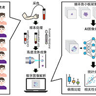 东京大学可视化抗血小板药物的体内效果，借助AI进行实时评估