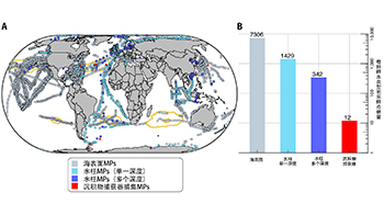 JAMSTEC分析1885个地点的10年间数据，查明海洋微塑料的全球分布情况