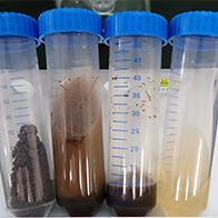 新潟大学等开发出便于检测土壤微生物量的方法，可用于预测全球变暖