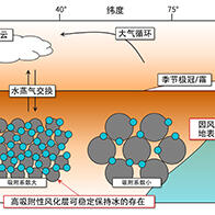 日本东北大学揭示火星表层风化层粒子能够稳定吸附水分，或对长期保持水分做过贡献