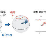 东京大学通过光技术直接观测磁体的离散值，为开发由电子存储信息的量子器件开辟道路