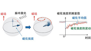 东京大学通过光技术直接观测磁体的离散值，为开发由电子存储信息的量子器件开辟道路