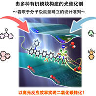 京都大学等成功验证有机高分子光催化剂高效转化CO₂的技术，实现不依赖贵金属的人工光合成系统