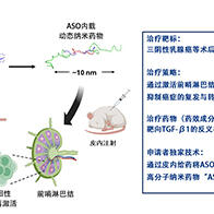 东京大学与iCONM开发出可将核酸药物送达至前哨淋巴结的纳米机器，阻止癌症转移