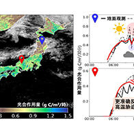 千叶大学等日韩德合作，利用气象卫星“向日葵”的观测数据开发出光合作用活动每30分钟可视化新方法