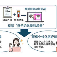 东京大学开发出预测卵巢功能的AI模型，仅通过问诊和抽血就能预测卵子的数量和质量