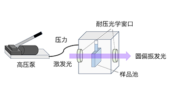 近畿大学成功实现高压环境下的圆偏振发光测量，踏入尚无先例的“未涉领域”