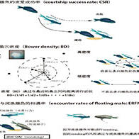 琉球大学等发现精子间竞争关系到寿命及基因表达，并通过非洲古代湖鱼证实