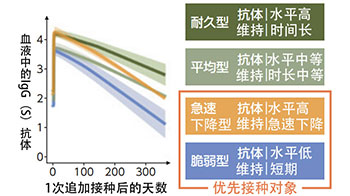 新冠疫苗抗体效价发现三类特征群体，有助于优化接种策略，抑制感染扩散与重症化