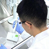 东京大学发现类固醇可增强OPDIVO等癌症免疫药物疗效