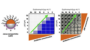 大阪大学产研等利用新开发的雅努斯纳米颗粒恢复抗菌药效，有望解决耐药菌难题