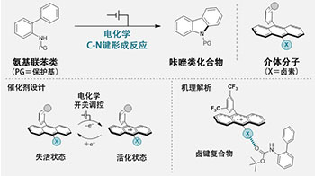 横滨国立大等研发出新型电化学开关型催化分子，实现质子与电子的协同迁移