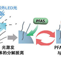 利用低毒性低成本的ZnO纳米晶体光催化特性，轻松降解有机氟化合物PFAS