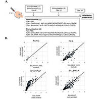 东海大学开发出新一代小鼠模型，产生单个IgG抗体并成功再现不同人类免疫反应